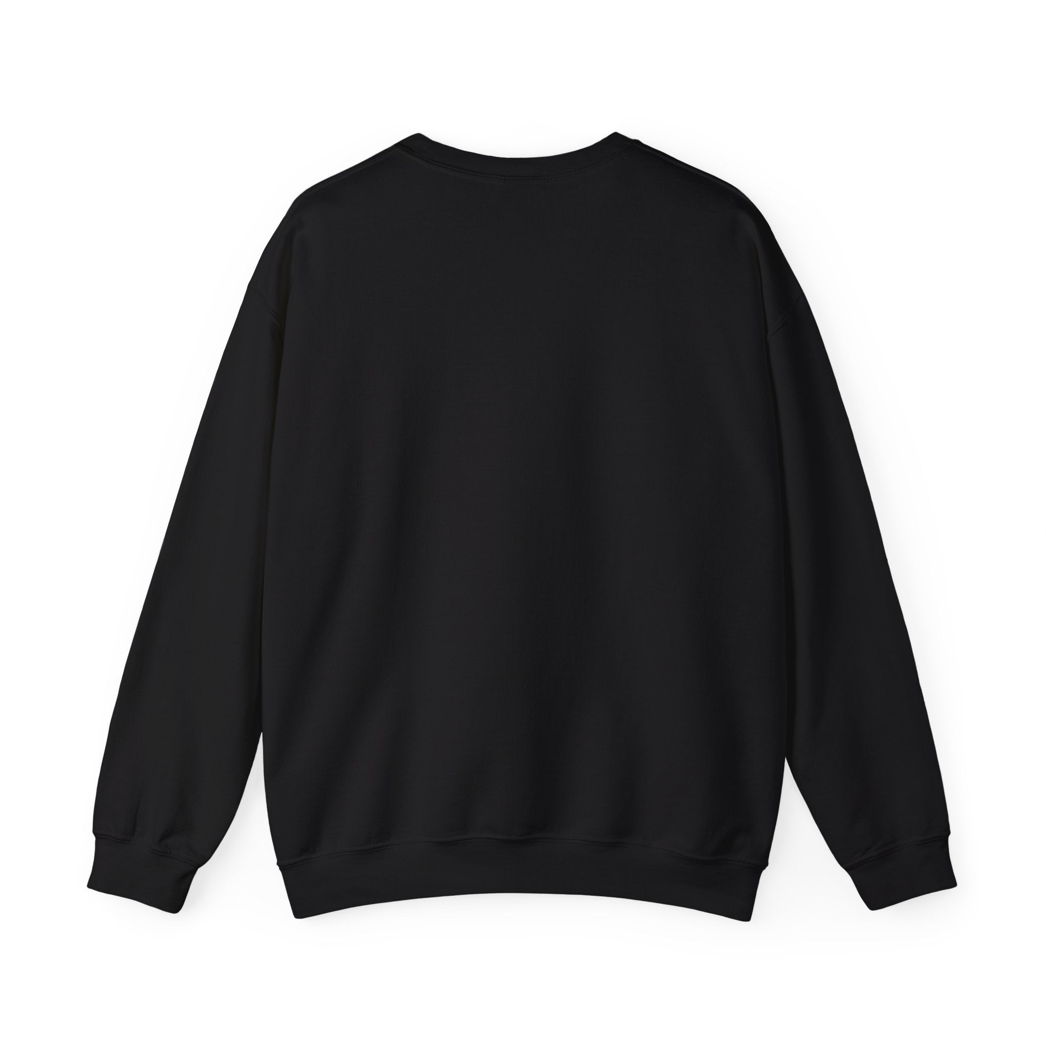 Black Sand Beach Crew Neck Multi colors